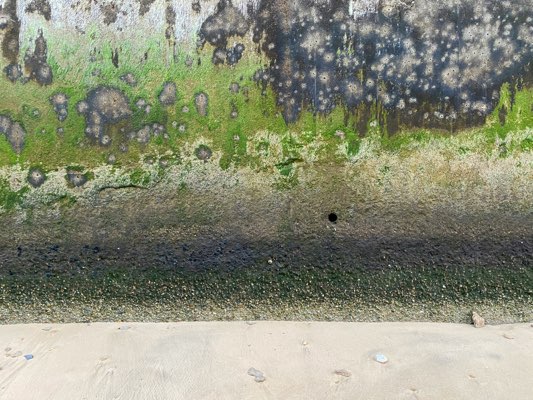 Concrete surface with algae and grime buildup before cleaning